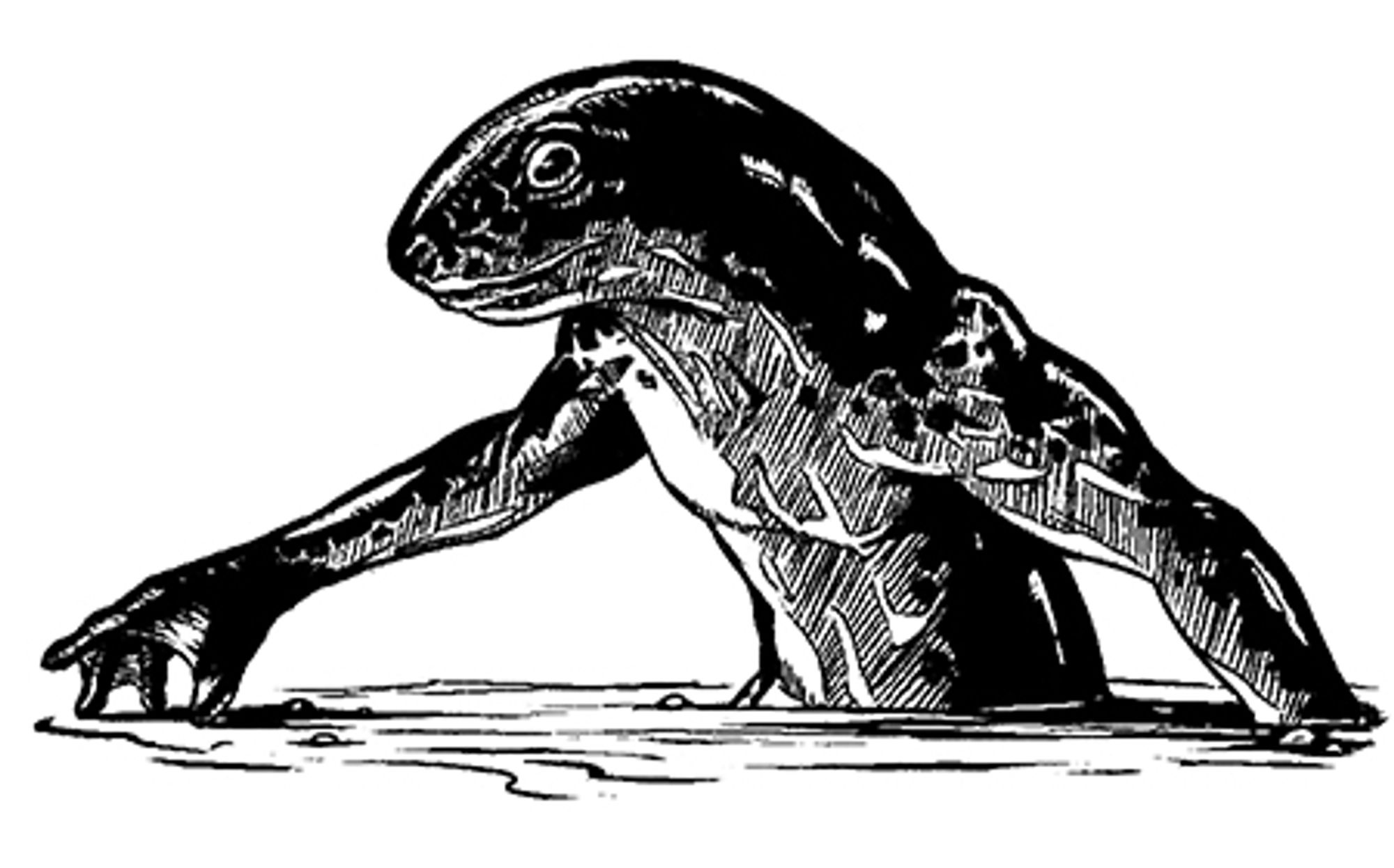 962f8f1a-4cd8-4e70-9f91-aee8f02d9192.png